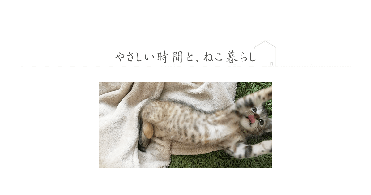 やさしい時間と ねこ暮らし Powered By ライブドアブログ やさしい時間と ねこ暮らし Powered By ライブドアブログ