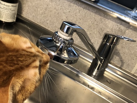 g%WL6mdnRlyc2ZCNcUKkfQ