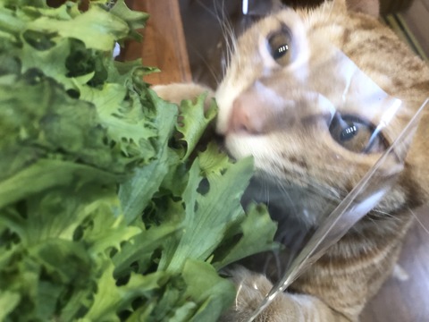 g4hCUI5MR9+%z4v%hN8UHA