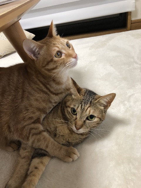 D5lan4HwT0WtMEKdAH0JFQ