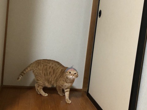 c0pYHEfJQ0mb5m0f1HkeRg