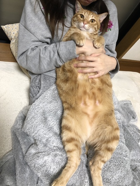 vKTERpRgTful++5WFkSKxQ