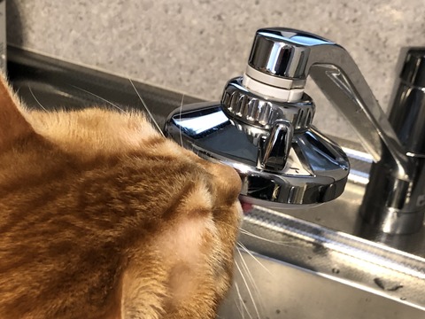 UtFRDdgwQwqXfck+plEurg