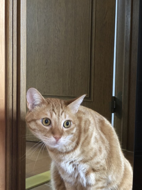 %uXCcZOjQBW5L+T3BKGDfQ