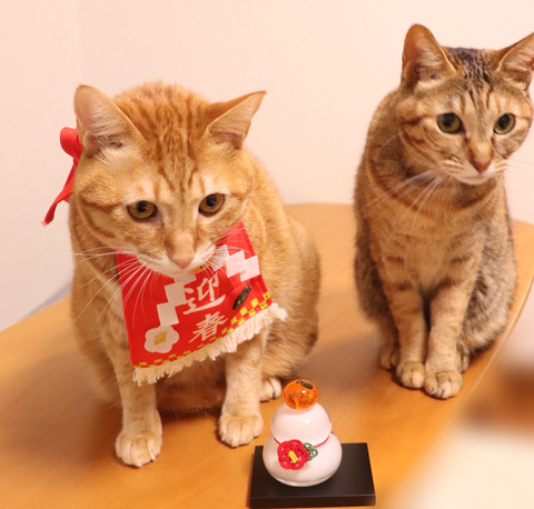 09F02E4F-C484-4555-B96C-03D578CB29FE