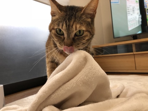 woHWRl1FRgCWdtHc8VucQQ