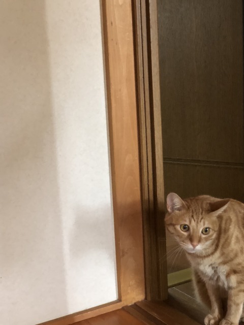 HaTDA3mZRfC8tOJJ7Sb+Qw