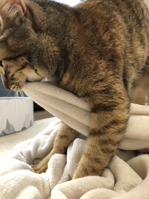 5Z7QJqv2ShqsBQp%6L3fiA