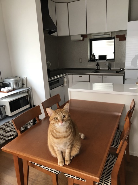 H0YgIx3JSP6QQXwdGr%Dqg