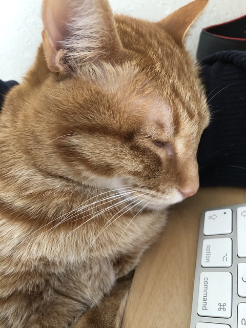 jD7ek1EgRp6iCaSFPY7dJQ