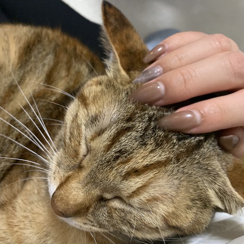 aB+P3RXmRhyACfRd+krkFQ