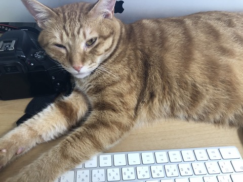 iLe%3S2JSz6r%dI7VparXQ