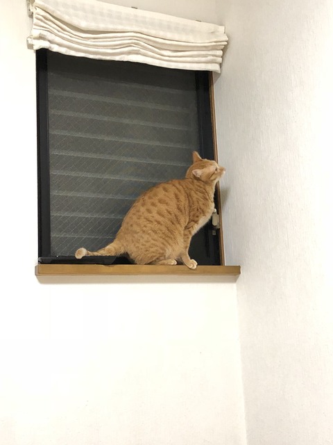 l+sD3lFVSTCYOT7K+qcmRg