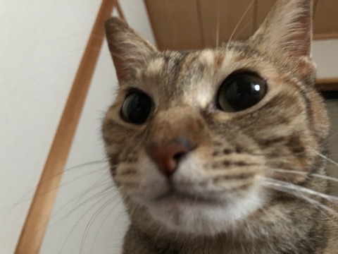 eEvVPYNUScSzRx%bfwp7kQ