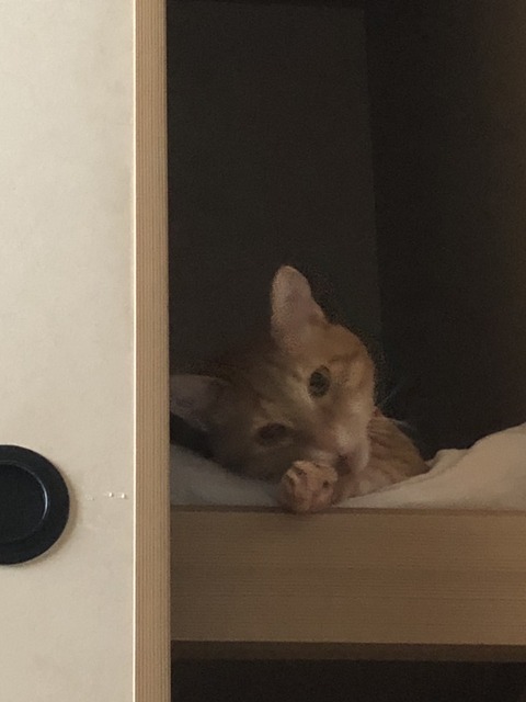 OYX%f6%JQ7ORtJj8gR%6kA