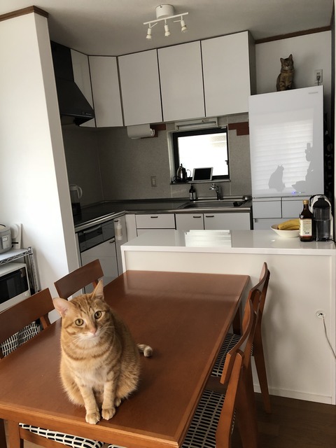 mHMVQzcOSwa7xzWCghA4MA