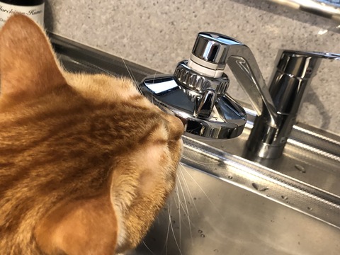 MTtCqzUpQbu4RsI6DCX9JQ