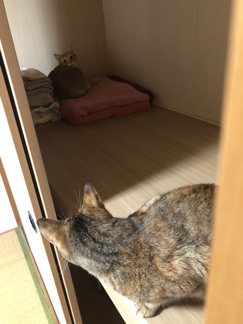 QorvuV%DS%OmFJ0Cyl5LqQ