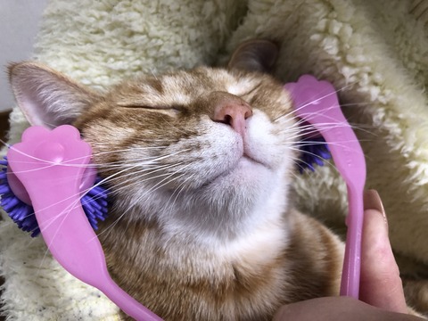 MEccSadERoyZpKR9vhZmEA