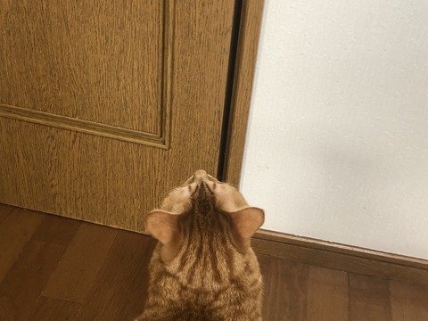 BciAAav8QKSdrZEFpnx%pg