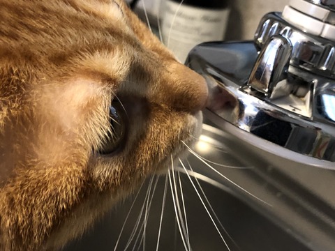 q9Hm9wU1Ss2K2F5ThQvFyQ