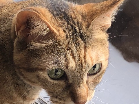 M37n+TxqTw+m91oFA7TCpg