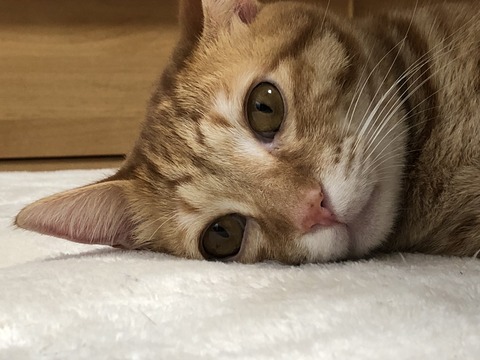 uMs%Mr6ASIuDHp5diMsoxw