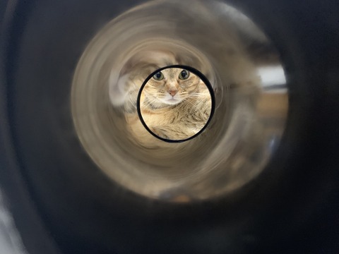 UyVzLxygQGiSnbkDX9Awjg