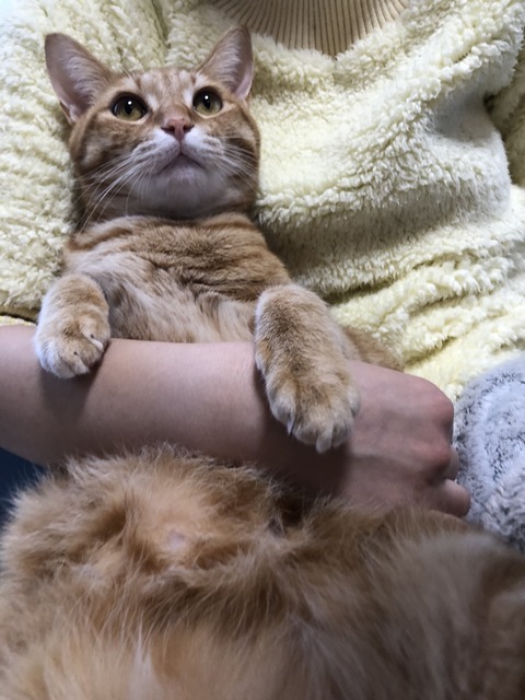 XDYyK5n9SV+npRj1cO4U8A