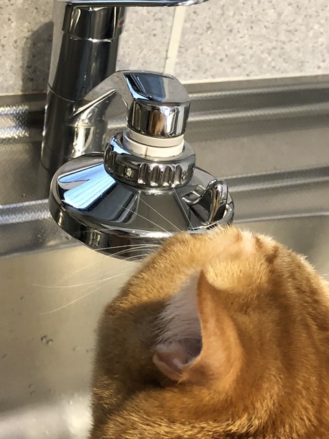 %fN60m5mSKui4LK+1Qg7nA