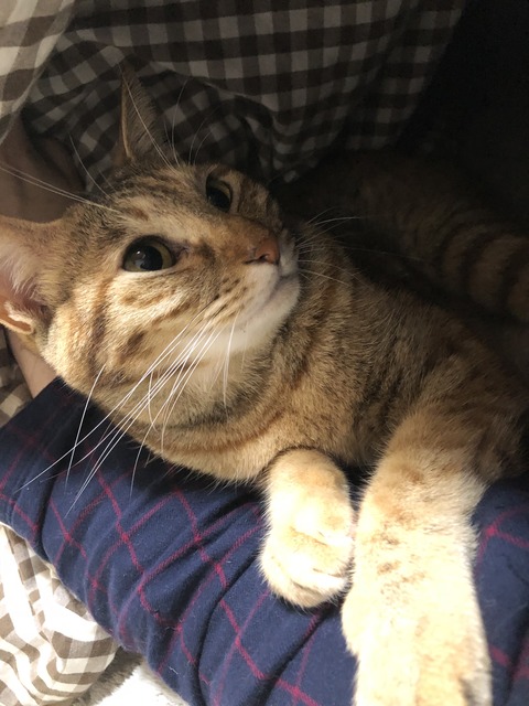 WR3+ruh1R+OjNmaQt8jXWA