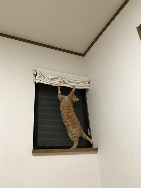 C4YHK932TYKd2+nN%dq1RA