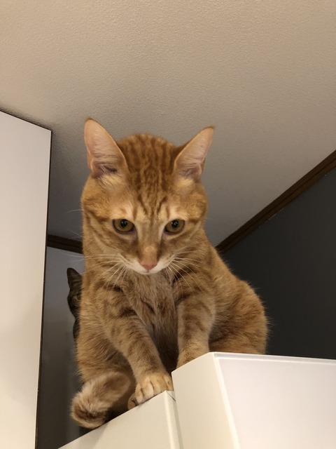 GfR6r8SBSDWxxxfcCW5pFQ