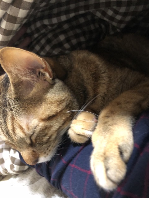 6o7LdkpsT66NAhC0BmlzaA