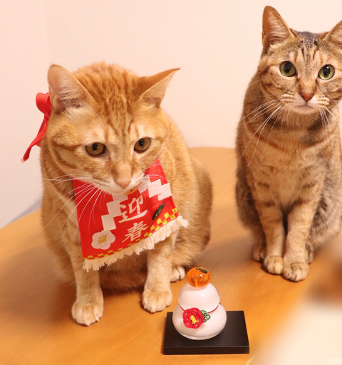 5779B656-1908-442A-B58B-61C165DF0051