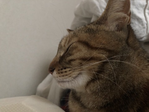 j8p3cSUZTseT9c6oKoRArQ