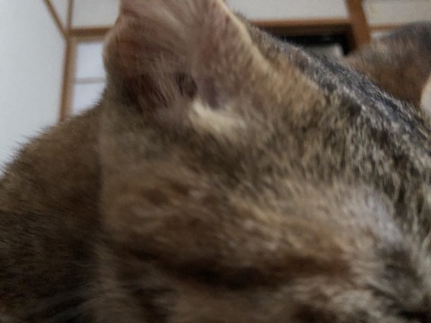 Oq1AHyfHS1CGgESAM%bkCA