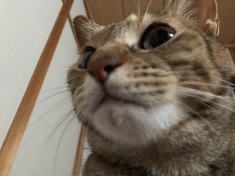 WaQxF5NuQB+FcXy6QR9vRw