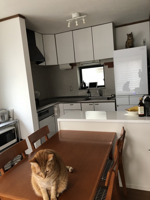 7M0kLMQMTDmXtDL6eUt%uQ