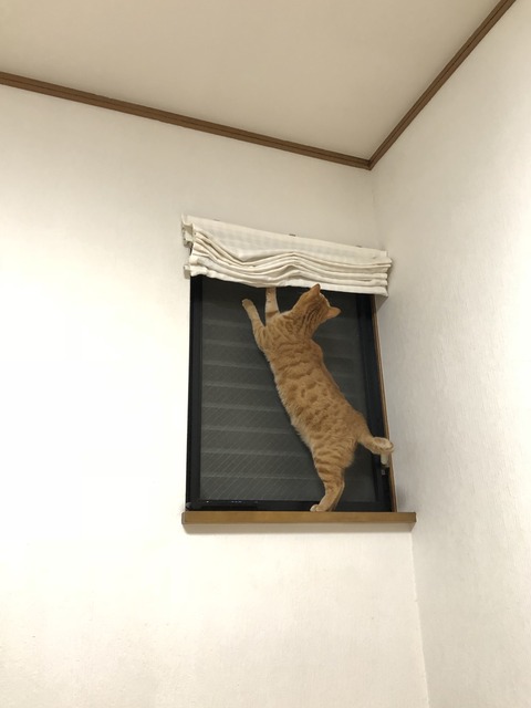 EdjE%oAWSHejBMyG2IX3nw