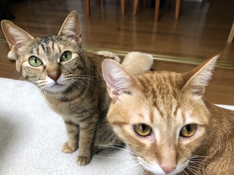 zC9Onn0mT1WiEpD%dGAVfQ