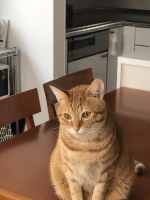 kZ%FcC7YQbKqI1NdA5AFIg