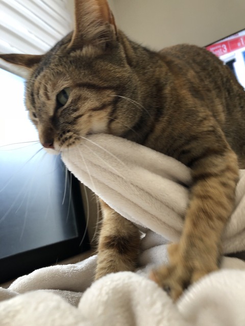 fjH91ffuSF+nO2uq%bdOzA