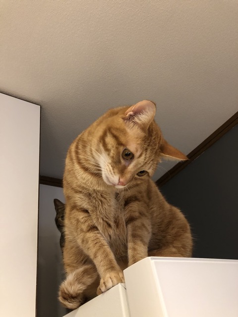 6VazXdBWSGiZWV%IQQkSog