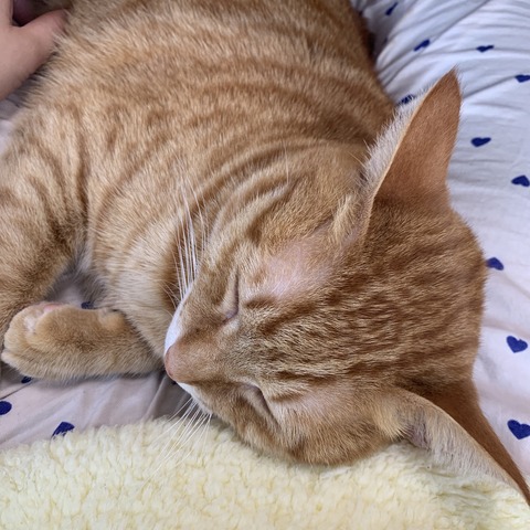 f9a2%RWpQ+2zA7P%I4tCcA