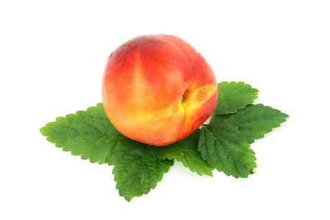 food-2278_640