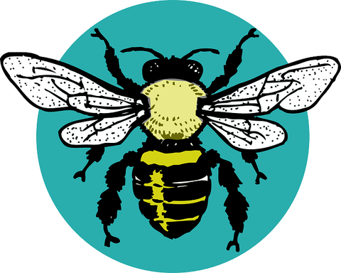 bug-311793_640