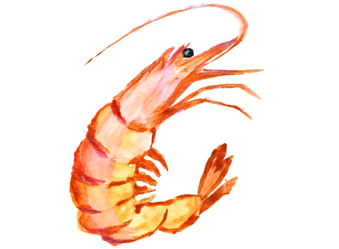 hand-painting-1957063_960_720