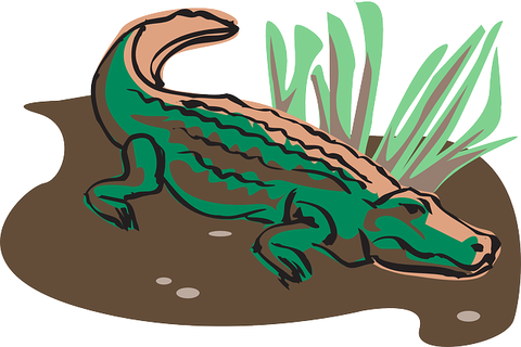 crocodile-44769_640