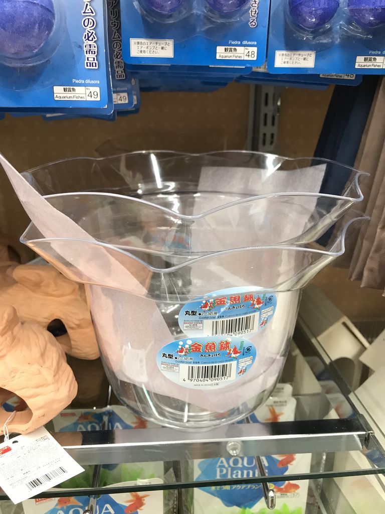 １００均で売っているものでカワバタモロコやメダカを飼育してみよう その１ 雨ふる大地